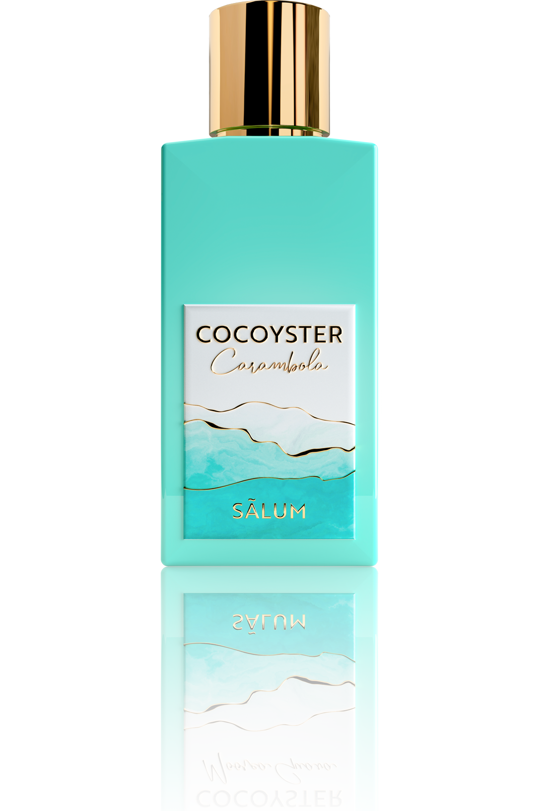 SALUM - COCOYSTER - CARAMBOLA