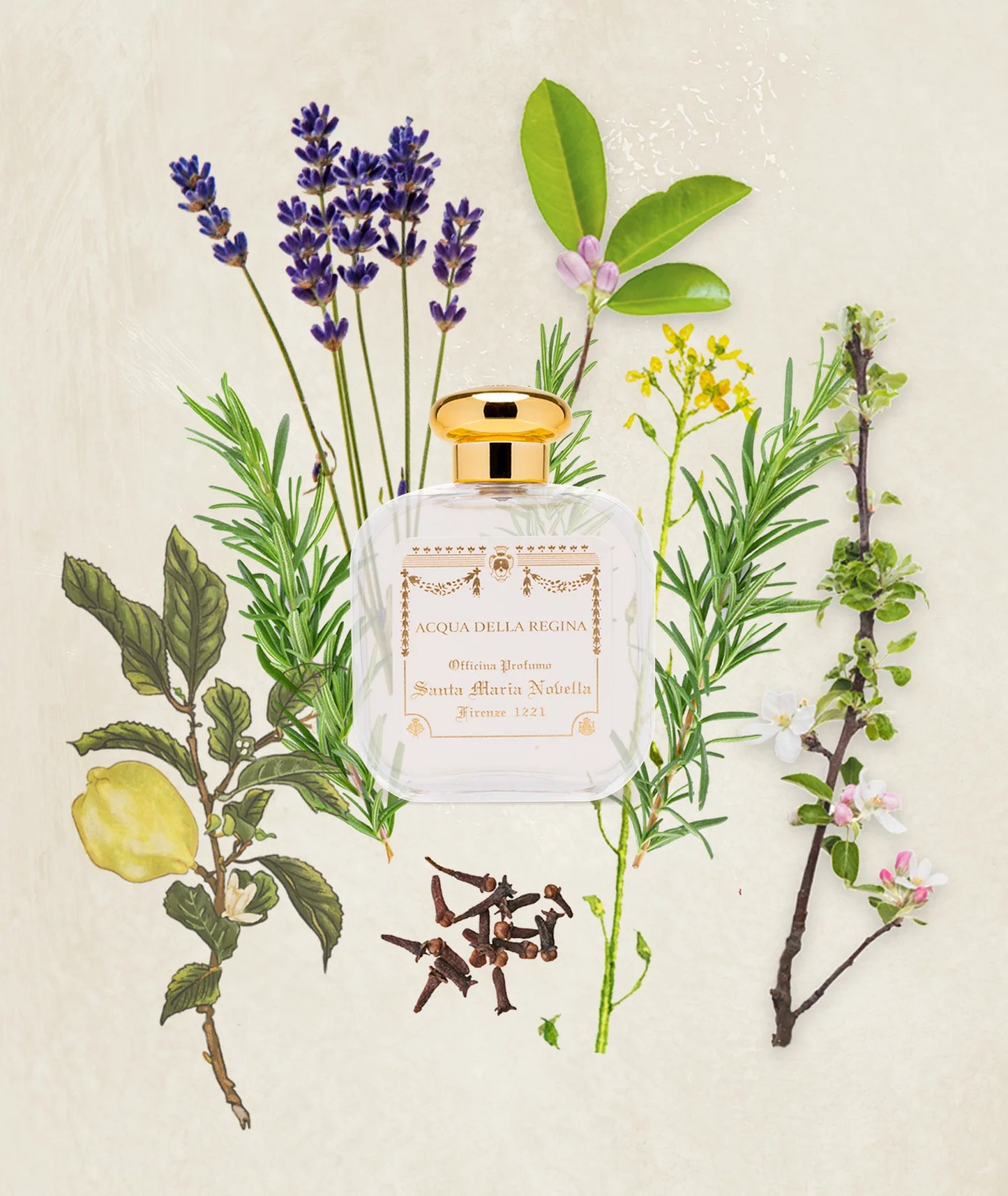 SANTA MARIA NOVELLA-ACQUA DELLA REGINA - PROFUMO