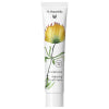 DR. HAUSCHKA - CREMA PER LE MANI 75 ML