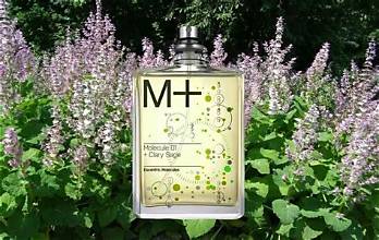 ESCENTRIC MOLECULE - MOLECULE 01+CLARY SAGE