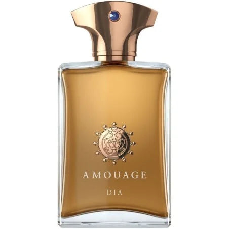 AMOUAGE - DIA MAN - EAU DE PARFUM