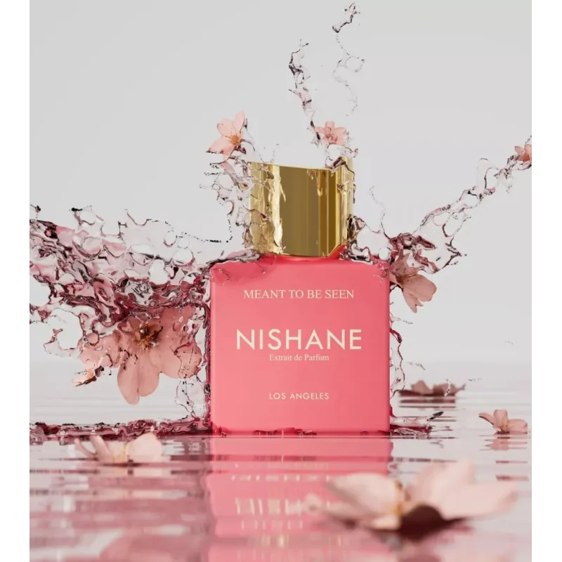 NISHANE - MEANT TO BE SEEN - EXTRAIT