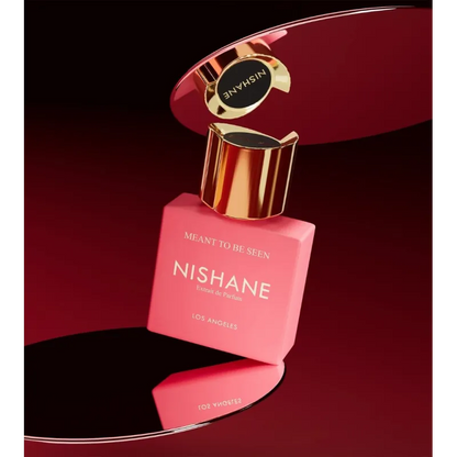 NISHANE - MEANT TO BE SEEN - EXTRAIT