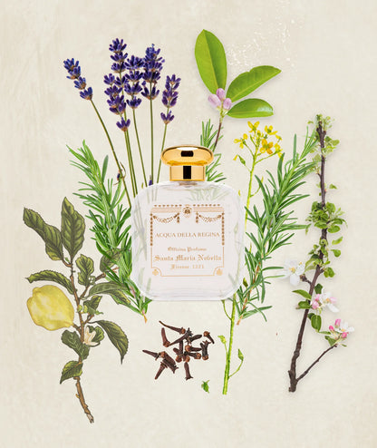 CREED - WILD VETIVER - MILLESIMATO